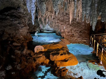 おきなわワールドに投稿された画像（2022/1/2）