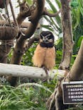 伊豆シャボテン動物公園に投稿された画像（2022/1/2）