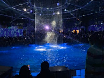 マクセル アクアパーク品川に投稿された画像（2022/1/2）