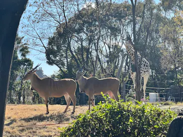 天王寺動物園に投稿された画像（2022/1/2）