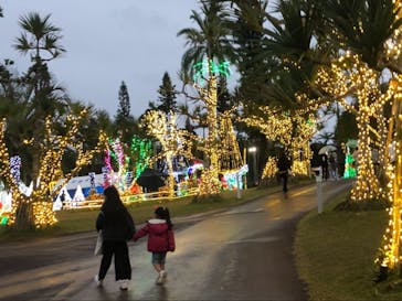 美らヤシパークオキナワ・東南植物楽園に投稿された画像（2022/1/2）