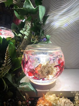 ずこうしつ〜sugamo〜に投稿された画像（2022/1/2）