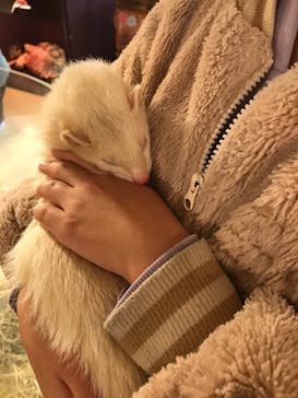 Moff animal cafe イオンモール幕張新都心店に投稿された画像（2022/1/2）