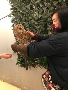 Moff animal cafe イオンモール幕張新都心店に投稿された画像（2022/1/2）