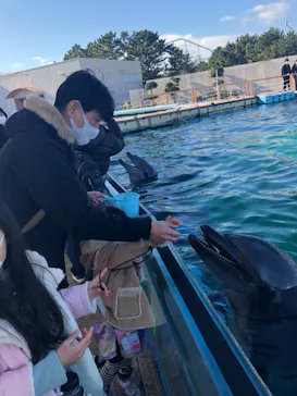 横浜・八景島シーパラダイスに投稿された画像（2022/1/2）