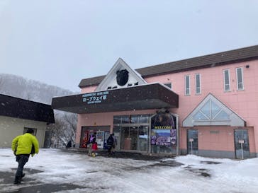 のぼりべつクマ牧場に投稿された画像（2022/1/2）