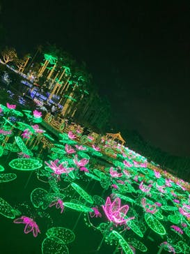 美らヤシパークオキナワ・東南植物楽園に投稿された画像（2022/1/2）