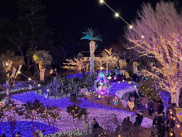 江の島シーキャンドルに投稿された画像（2022/1/2）