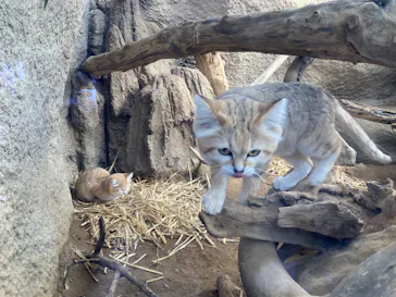 神戸どうぶつ王国に投稿された画像（2022/1/2）