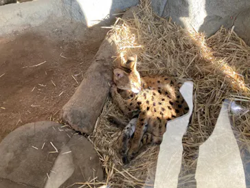 神戸どうぶつ王国に投稿された画像（2022/1/2）