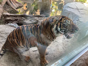 神戸どうぶつ王国に投稿された画像（2022/1/2）