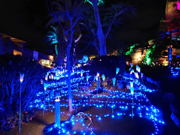 ひらかたパークに投稿された画像（2022/1/2）