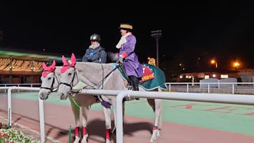 東京メガイルミに投稿された画像（2022/1/2）