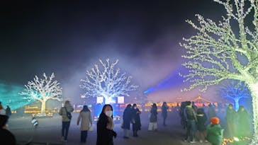 東京メガイルミに投稿された画像（2022/1/2）