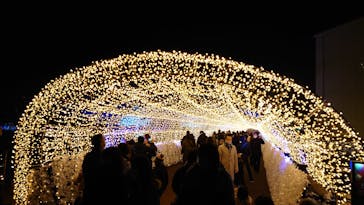 東京メガイルミに投稿された画像（2022/1/2）