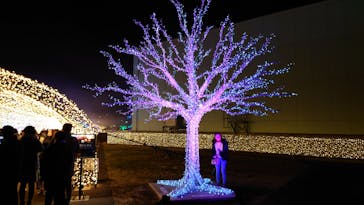 東京メガイルミに投稿された画像（2022/1/2）