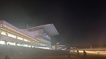 東京メガイルミに投稿された画像（2022/1/2）