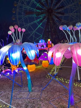 東武動物公園に投稿された画像（2022/1/2）