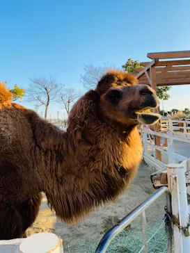 神戸どうぶつ王国に投稿された画像（2022/1/2）