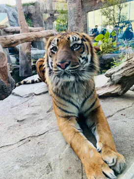 神戸どうぶつ王国に投稿された画像（2022/1/2）