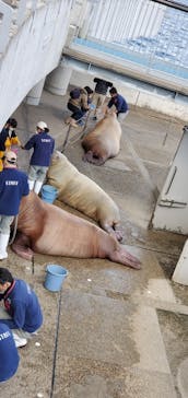 大分マリーンパレス水族館 「うみたまご」に投稿された画像（2022/1/2）