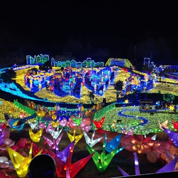 伊豆ぐらんぱる公園に投稿された画像（2022/1/2）