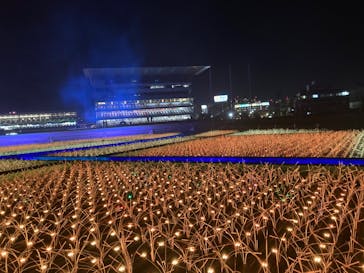 東京メガイルミに投稿された画像（2022/1/2）