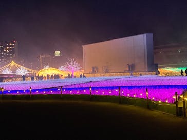 東京メガイルミに投稿された画像（2022/1/2）