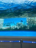 サンシャイン水族館に投稿された画像（2022/1/2）