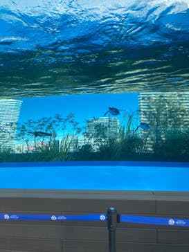 サンシャイン水族館に投稿された画像（2022/1/2）