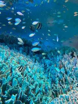 サンシャイン水族館に投稿された画像（2022/1/2）