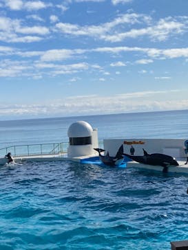 鴨川シーワールドに投稿された画像（2022/1/2）