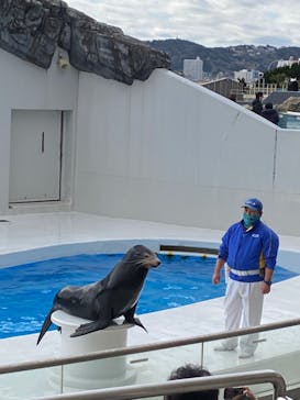 鴨川シーワールドに投稿された画像（2022/1/2）