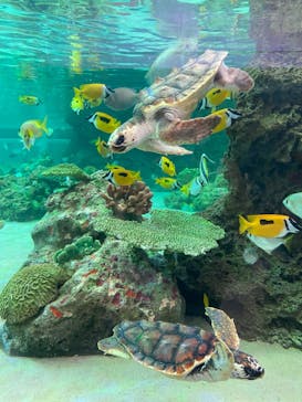 鴨川シーワールドに投稿された画像（2022/1/2）