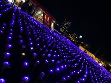 東京メガイルミに投稿された画像（2022/1/2）