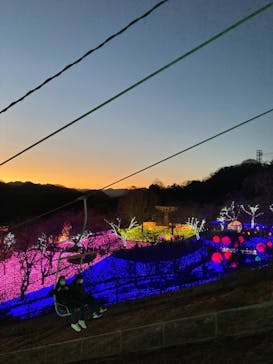 さがみ湖MORI MORIに投稿された画像（2022/1/2）