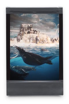 名古屋港水族館に投稿された画像（2022/1/2）