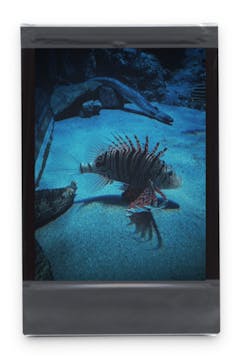 名古屋港水族館に投稿された画像（2022/1/2）