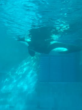 名古屋港水族館に投稿された画像（2022/1/2）