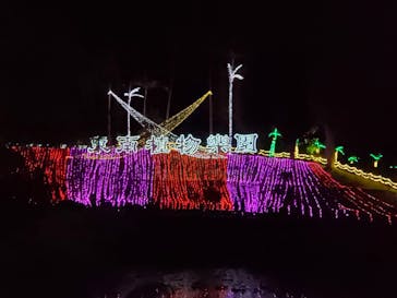 美らヤシパークオキナワ・東南植物楽園に投稿された画像（2022/1/2）