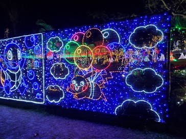 美らヤシパークオキナワ・東南植物楽園に投稿された画像（2022/1/2）