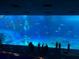 沖縄美ら海水族館に投稿された画像（2022/1/3）