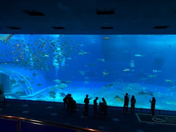 沖縄美ら海水族館に投稿された画像（2022/1/2）
