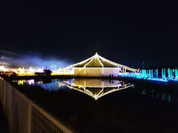 東京メガイルミに投稿された画像（2022/1/2）