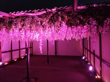 東京メガイルミに投稿された画像（2022/1/2）