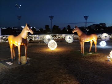 東京メガイルミに投稿された画像（2022/1/2）