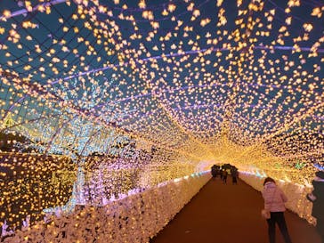 東京メガイルミに投稿された画像（2022/1/2）