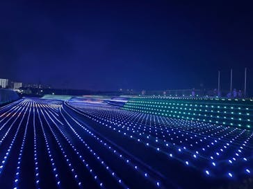 東京メガイルミに投稿された画像（2022/1/2）