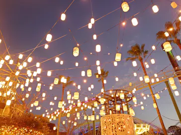 ひらかたパークに投稿された画像（2022/1/2）