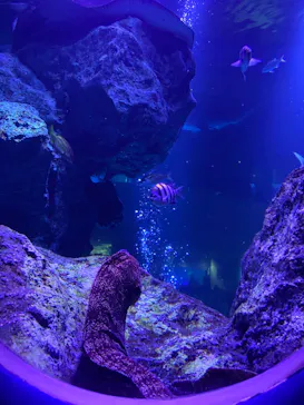 すみだ水族館に投稿された画像（2022/1/2）